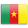 Flag of Cameroon